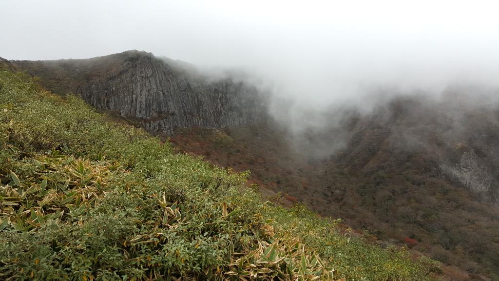 rgtech111's tweet image. 박근혜 하야하면 그 담은 누구게?

UN 인권결의 때 북에 물어보고(지령받고) 통보(보고)했다한 자(간자)이겠죠?