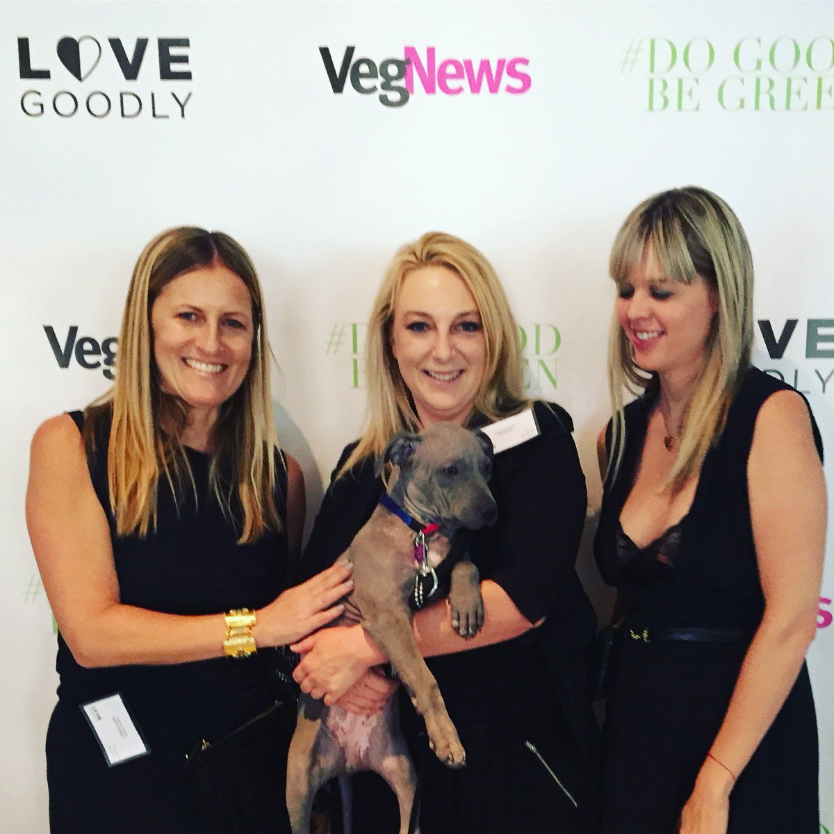 JustineLassoff's tweet photo. Thanks @beaglefreedom founder Shannon & your team for all you do and supporting @ShopLoveGoodly #dogoodbegreen sweet puppy needs rescue https://t.co/OZbQRTpkz6