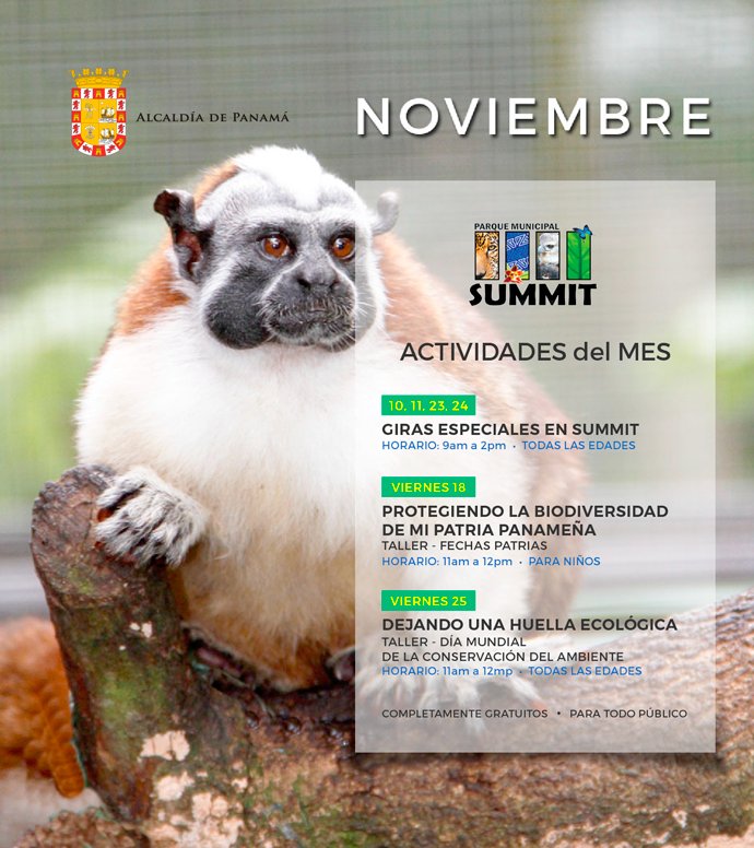 Conoce las actividades gratis y para todas las edades que tenemos este mes de noviembre desde las 9:00 am. Ven y vive la #ExperienciaSummit