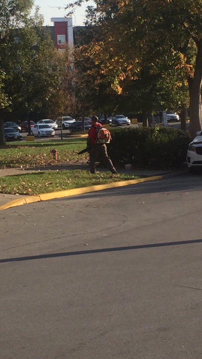 prorakers's tweet photo. Lots of leaf blowing on campus today, just say no, like @Bdevearb thanks for your support 🤘🌎 #antileafblower https://t.co/egBKBa5FP3