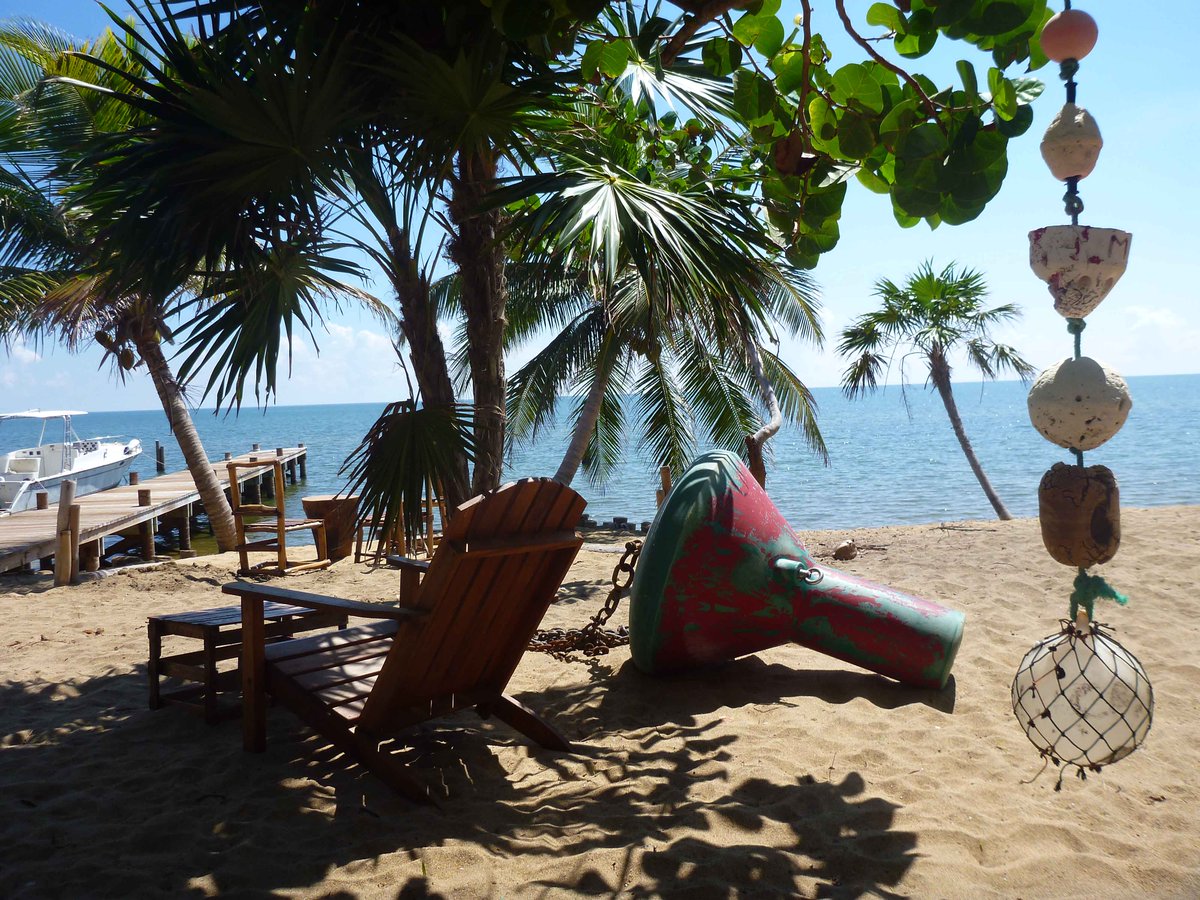 LeaningPalm's tweet photo. Loving our new Beach Sculptures!  @LeaningPalm #travel #belize #galespoint https://t.co/lib94zo8ZU