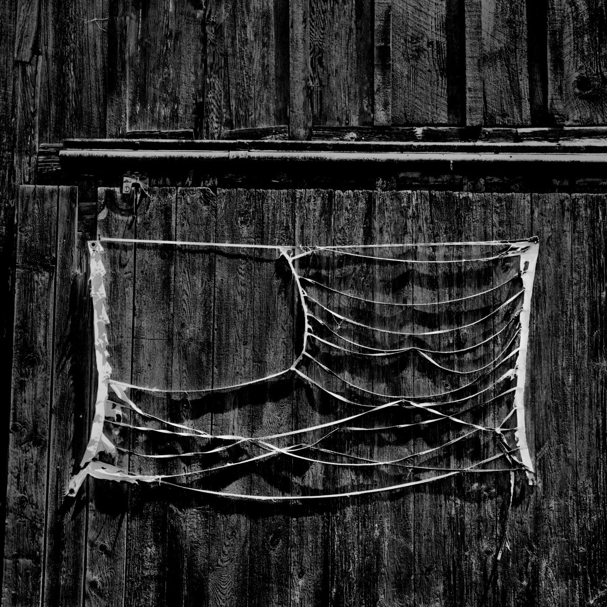 MSNBCPhoto's tweet image. America's income inequality is a key issue of #Election2016 See msnbc.com/geographyofpov… by @MattBlack_Matt @trymainelee #GeographyofPoverty