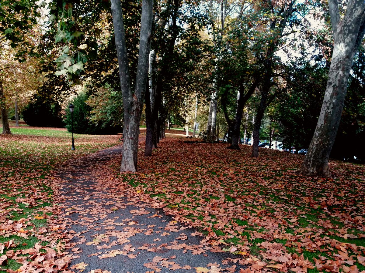 ieguiguren's tweet image. #Udazkena Iruñean #Zoragarria Otoño en Pamplona #quéchulo @TurismoNavarra @Sandra2bes @MikelBelasko @mendimundi @Neniques @ElenaEgiguren
