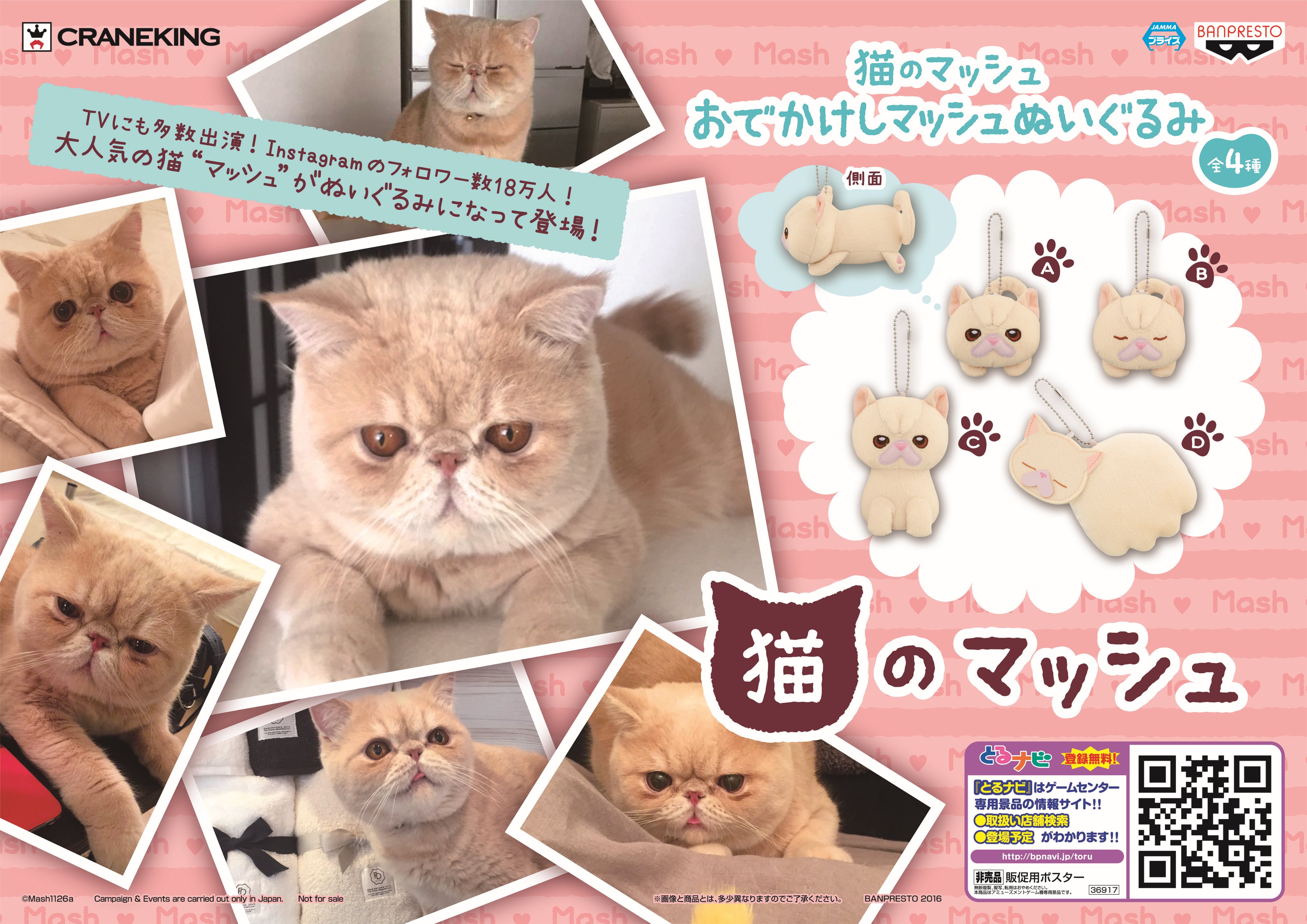 Namcoイオンモール姫路リバーシティ店 No Twitter 今週の注目景品 Instagramで15万フォローのめちゃカワねこ 猫のマッシュ のグッズが登場予定です 12 土 にクラッチポーチとおでかけしマッシュぬいぐるみ の二種類 T Co Mzsvzzg2t6 Twitter