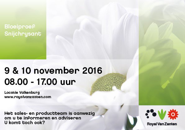 Royal Van Zanten tweet media