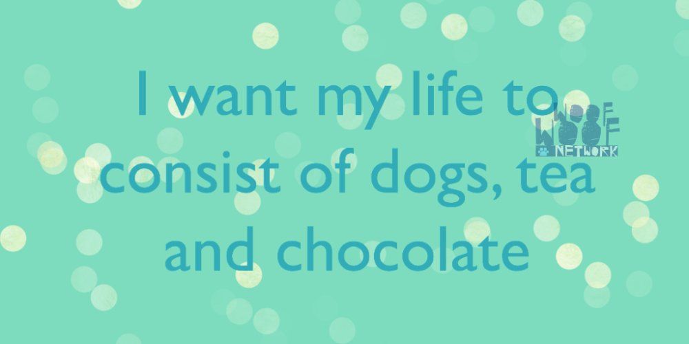 BizWonderland's tweet image. I want my life to consist of dogs, tea and chocolate. How about you?