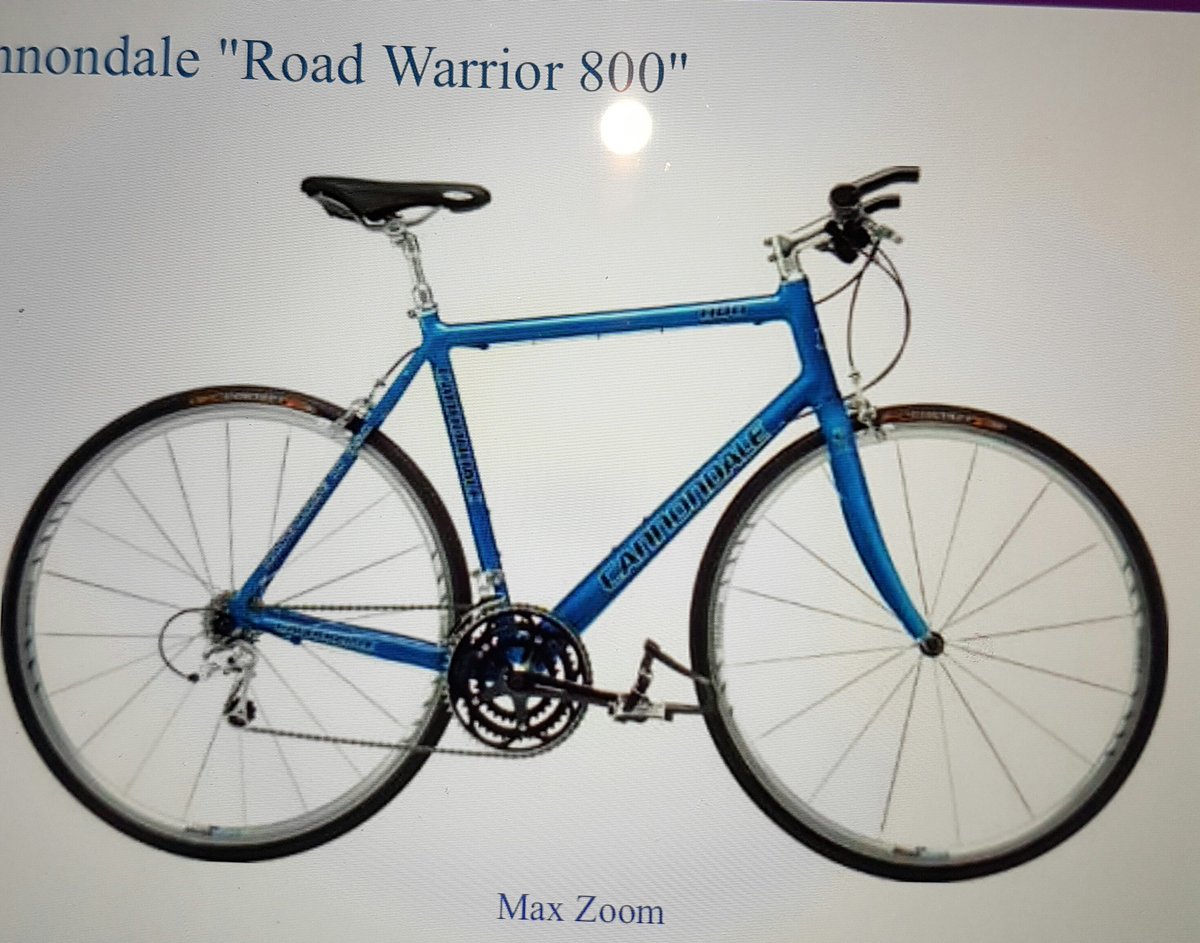 cannondale warrior 800