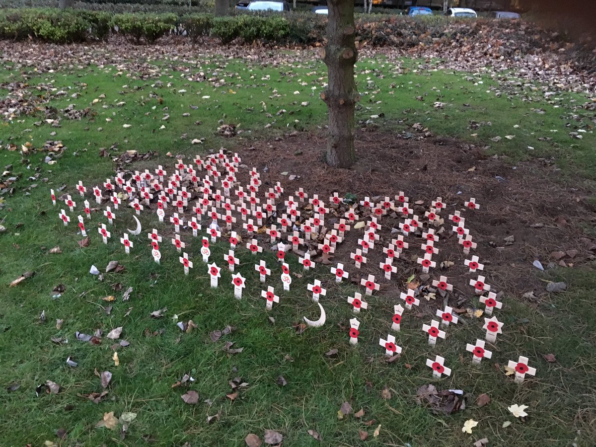 alisond90719748's tweet photo. Latest batch of crosses in #memorial garden. @North_NBucks @RBNNorth @LiamRic34843634 @CeciliaMcCart13 @ourkidjohn @buchanan_shaun https://t.co/5ZZUzlUB5a