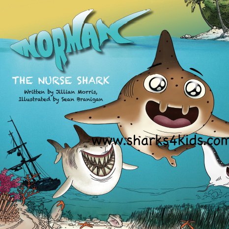 GuilhermeBraune's tweet photo. Let's celebrate! 3 wonderful years of @Sharks4Kids! Well done guys! You rock! ~~~/)~~~ #Sharks4Kids #SaveSharks #Sharks #Sharkids #FINtastic https://t.co/F8oRA6Tg48