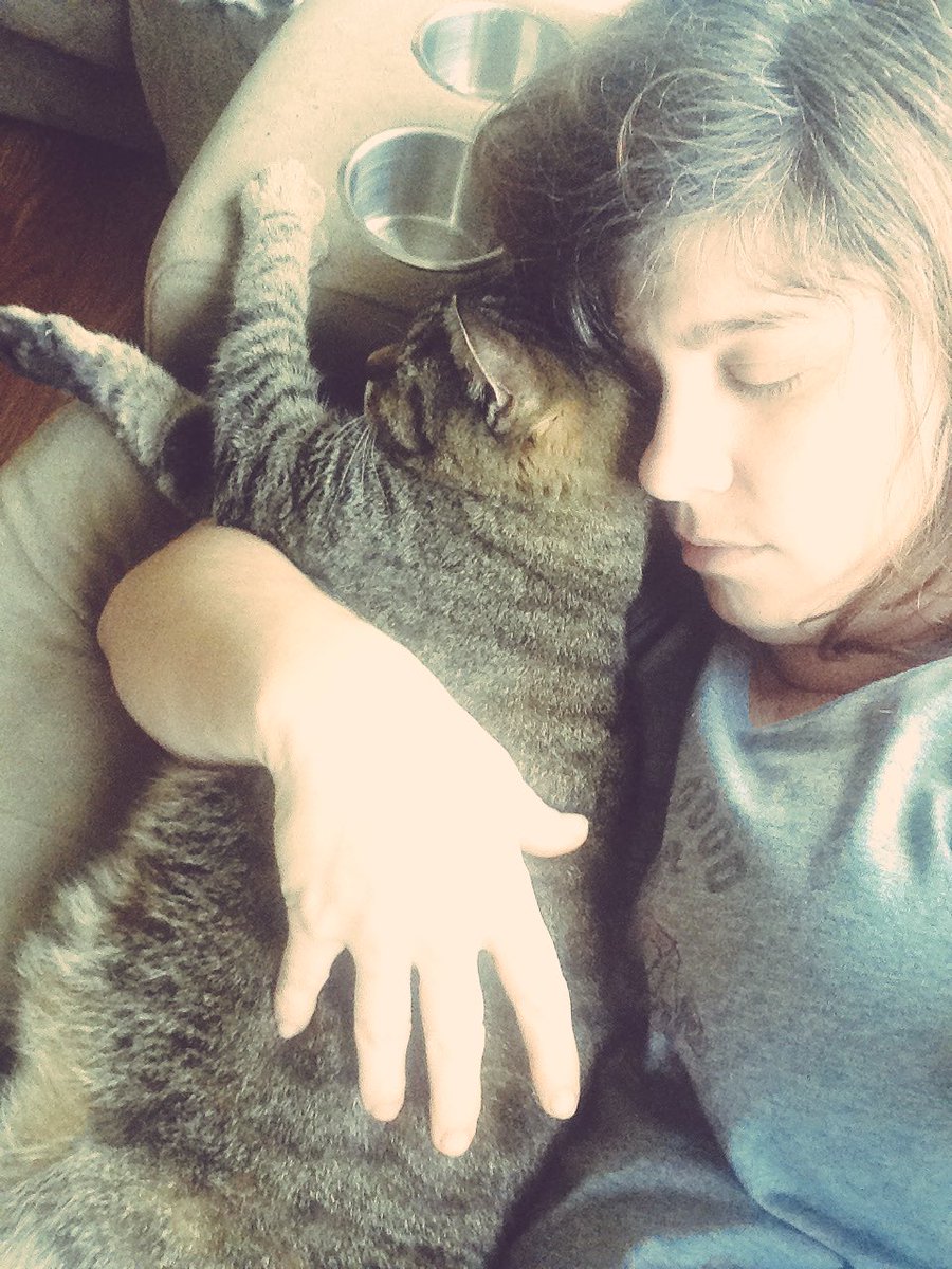 In2sidSimons's tweet image. We love cat naps lol