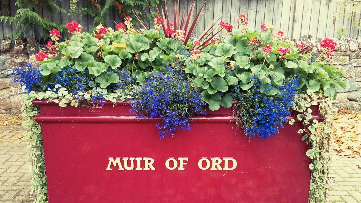 Muir of Ord Hall tweet media