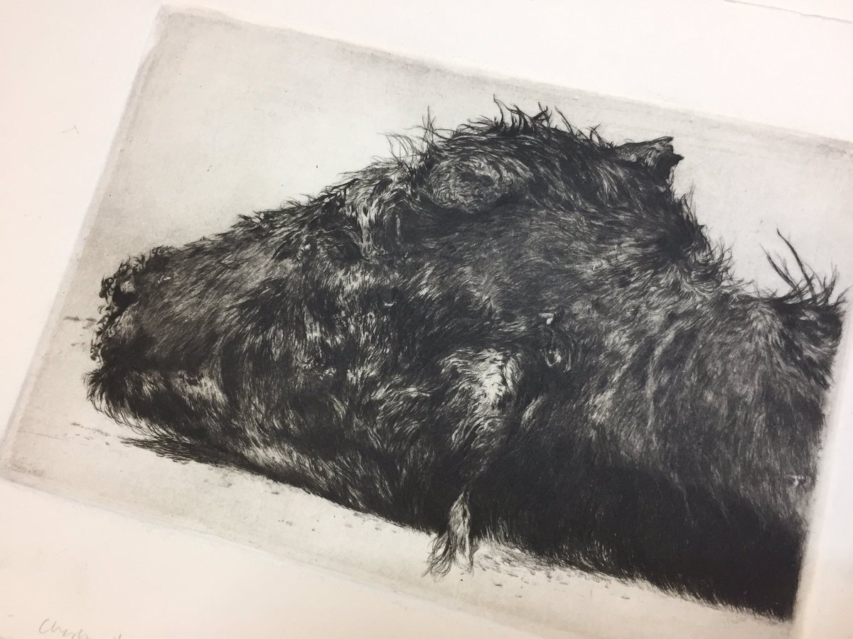 JosephPGerges's tweet photo. Here is the most recent #drypoint ✍🏼️
Combining an #embossed #plate with an #etching
#joegerges #art #joegergesart #process #calf #meatbees https://t.co/N3OCvNZYJj