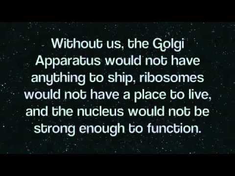 apbionucleolus's tweet photo. #organelleelection2016 https://t.co/xkVJfdsz0F