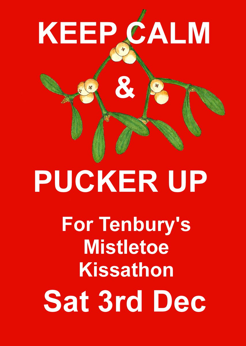 TWistlefest's tweet photo. Come and join us on Saturday 3rd Dec @ The Mistletoe Festival and be part of our world Record Attempt! https://t.co/UDw6SO0Ogv