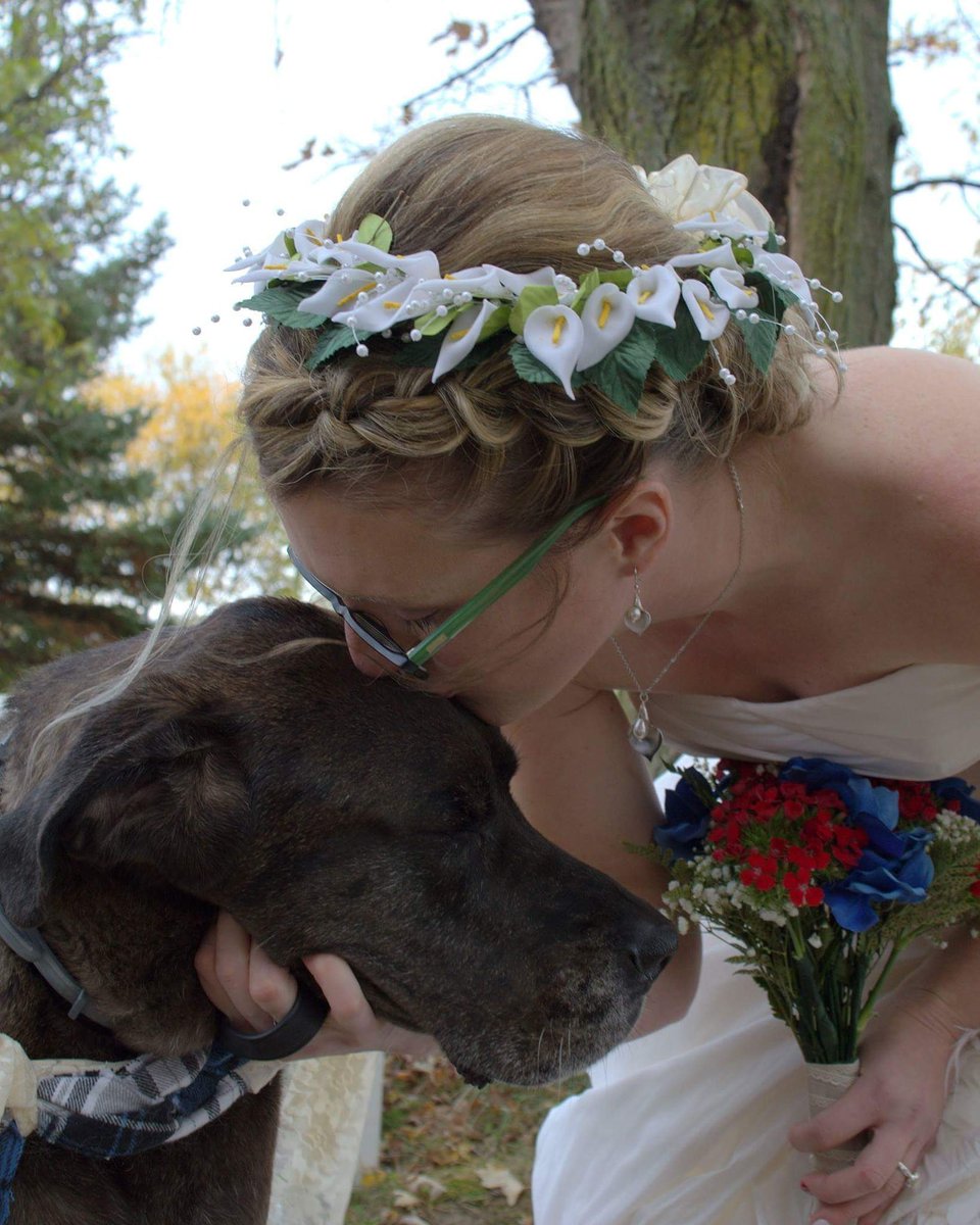 GrandViewK9Care's tweet photo. Just a girl and her dog. 

Congrats Cassandra and Dennis!
#dogsoftwitter #wedding #dogsinweddings #redwhitebauer #weddingsoftwitter https://t.co/85P6tmI7gM