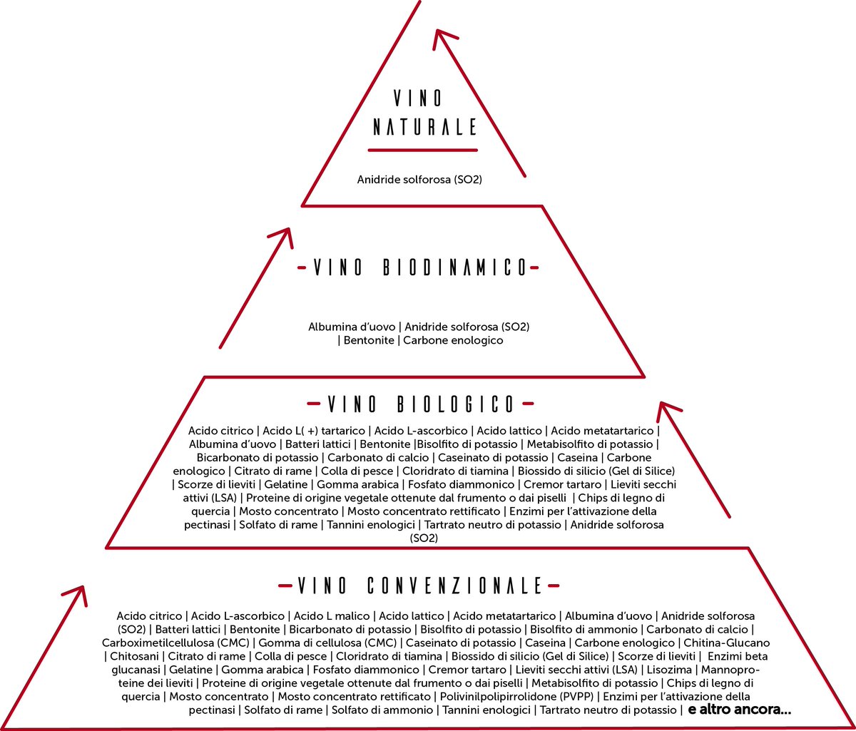 decanto_it's tweet photo. #vinobiologico o #vinonaturale? Scopriamo assieme le differenze! https://t.co/CvRmlOgIs2 
#vino #vinobio #vininaturali #natura #biologico https://t.co/QMlg35Zcum