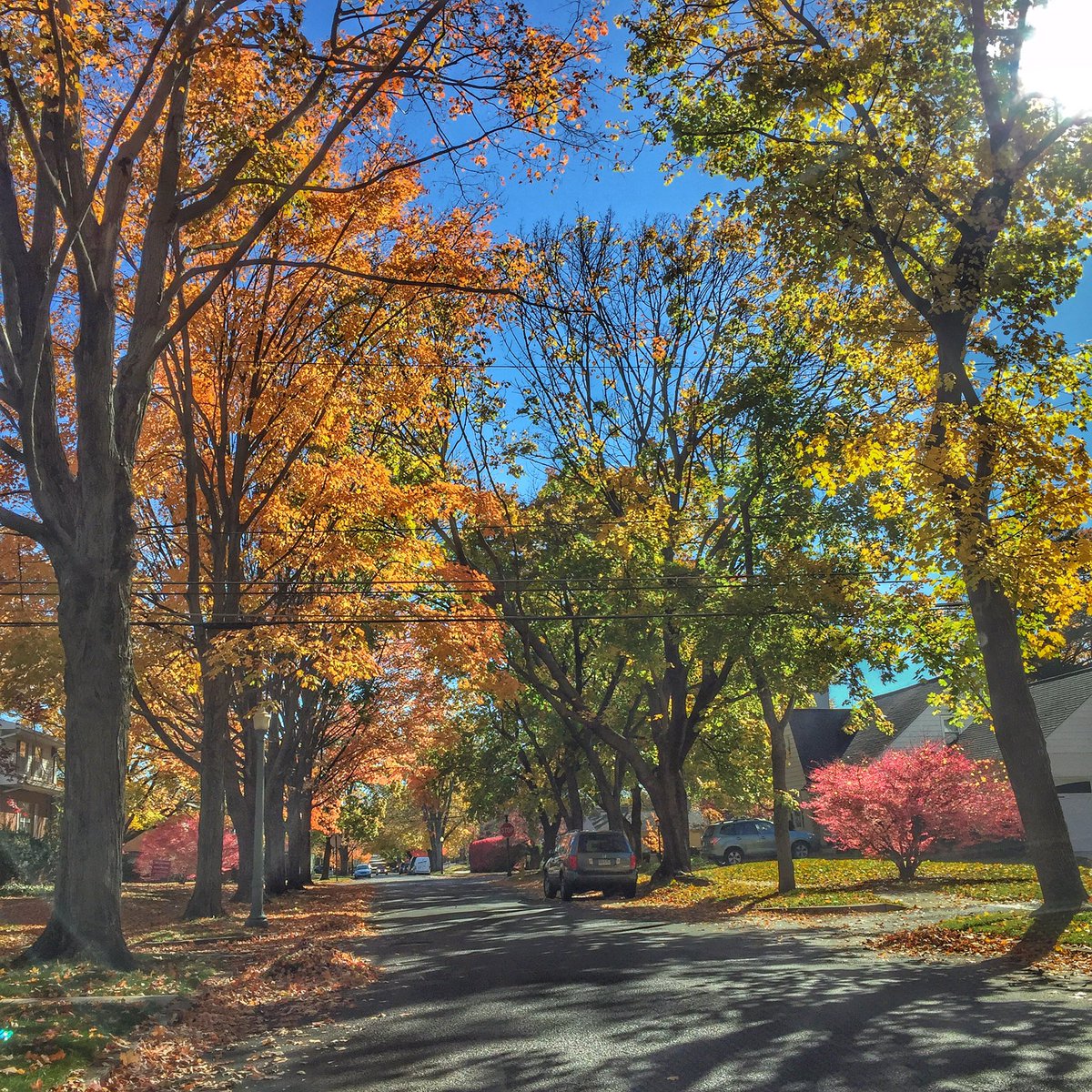 BldBridgePro's tweet photo. We❤️Atown's West End in autumn 🍂 #showusyouratown https://t.co/ZupNiQCdPI
