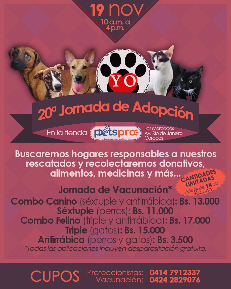 #JornadaAdopción #19nov en @petsprove #Ccs
#AdoptaResponsablemente: perros/gatos buscan 1 hogar
#TenenciaResponsable: vacunas para mascotas