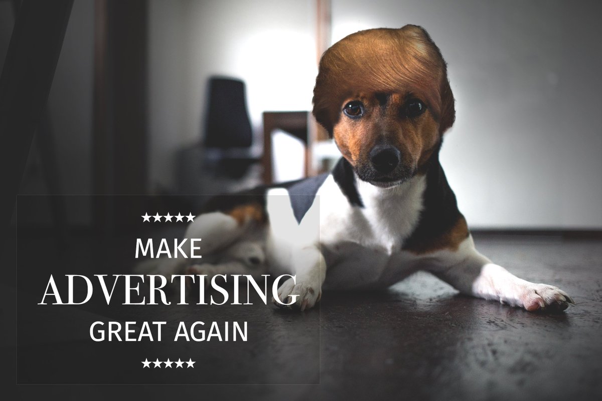 "Head of PR" Barney greift nach der Macht - mit Schmackos, Quietscheball und neuer Frisur #makeadvertisinggreatagain #Election2016