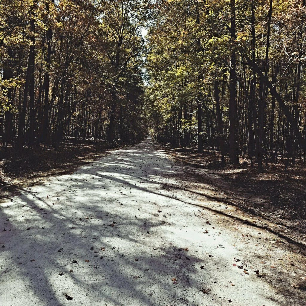 Perfect day for a walk in our neighboring @ncparks #UmsteadStatePark