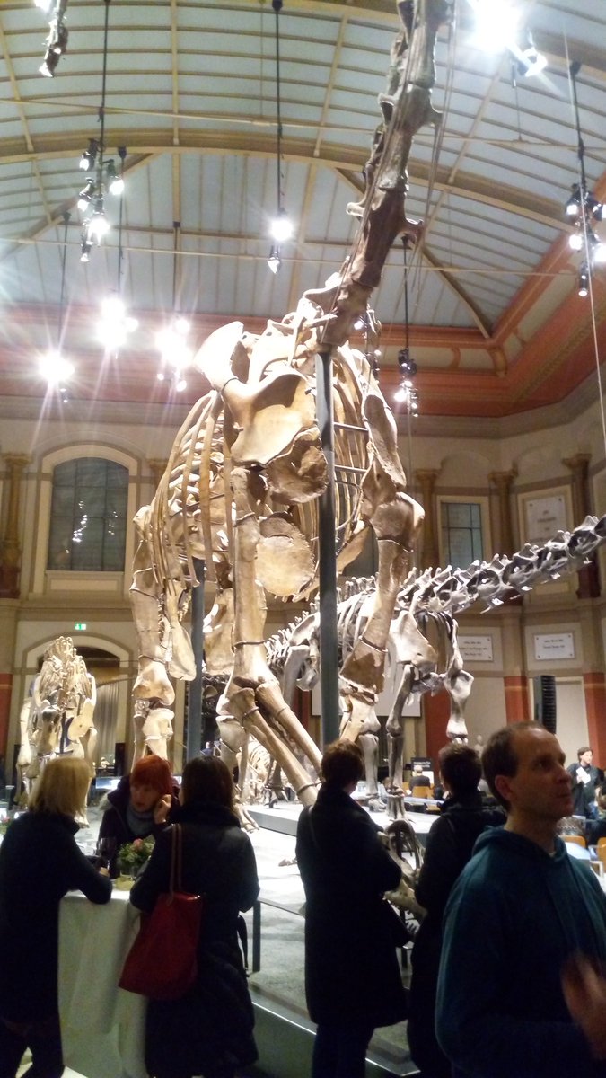 Seplute's tweet photo. Wine at the feet of #dinosaurs again. #ecsa2016 flashback @MfNBerlin https://t.co/JKhHqLoCqs