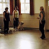 masterclass_dog's tweet photo. Pop over to my FB page https://t.co/mZWYnZ2Dqj for details of forthcoming #dogtrainingclasses in #Biddenden #kent. Limited spaces available https://t.co/ZhTnwo4yYf