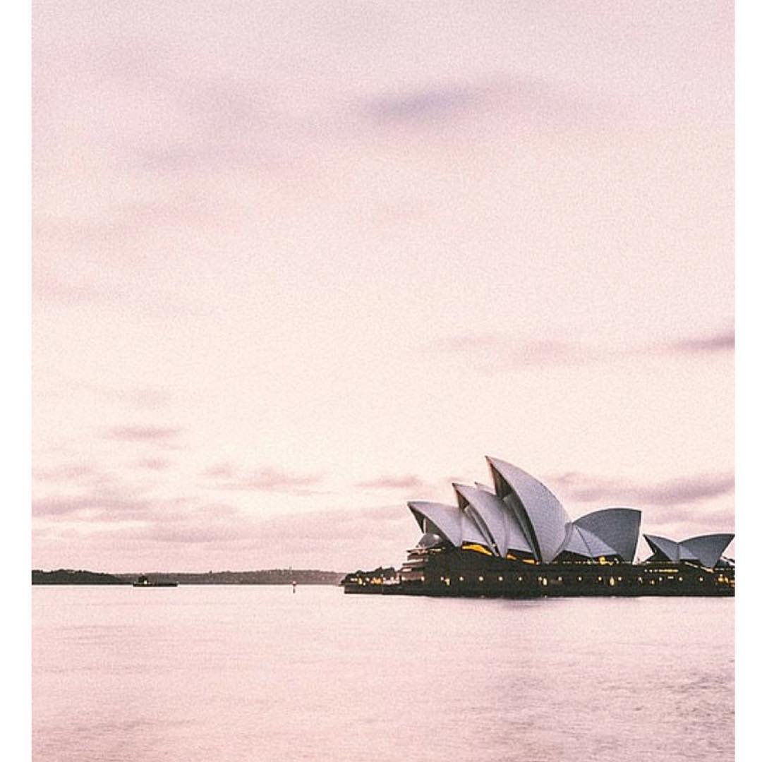 lucyhale's tweet photo. Soon 🐨 https://t.co/WYPn882tVq
