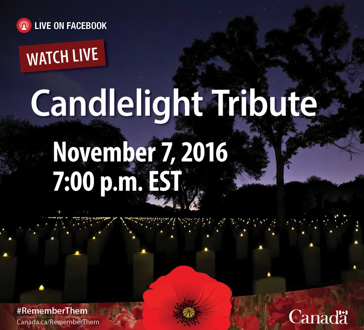 VeteransENG_CA's tweet photo. Tonight, Veterans symbolically pass the torch of remembrance to Canada’s youth. #RememberThem https://t.co/hJl74MJpfh https://t.co/3FSFHw086C