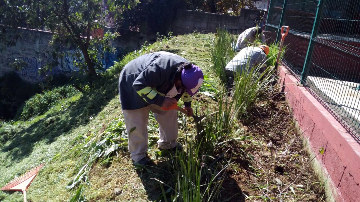 dgsudao's tweet photo. Mtto. Áreas verdes en Parque Polvorín, Col. La Era @jesuslandero @leonel_luna @AntonietaHT https://t.co/c9OdOc5zOP