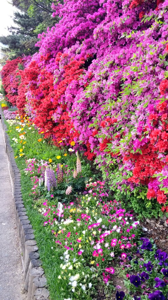 나이 먹음의 증거...
책을 읽기도
글을 쓰기도
귀챦은 건지 힘든 건지...
말하는 것과 듣기만 하려 한다
그래서 잔소리가 늘어나나 보다...
말은 줄이고
읽고 쓰고 들으면서 젊게 살자~^^