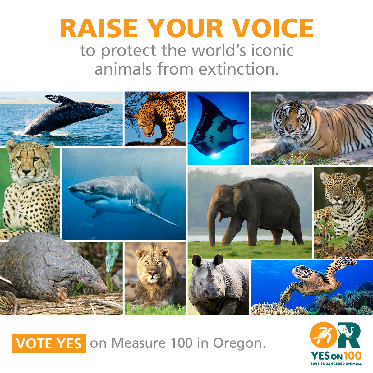 Save Animals Oregon (@SaveAnimalsOR) / Twitter Save Animals Oregon (@SaveAnimalsOR) / Twitter