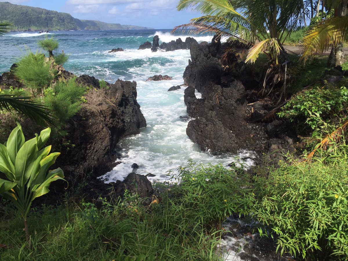 thecaseyshea's tweet photo. Meanwhile in Hawaii... https://t.co/TL6cF7hosh