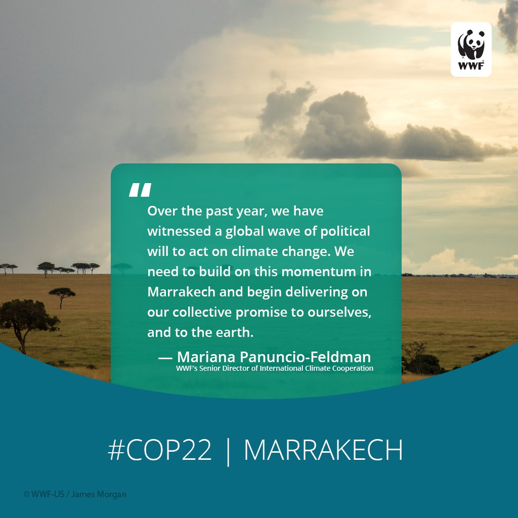 world-wildlife-fund-on-twitter-this-round-of-un-talks-can-and-must