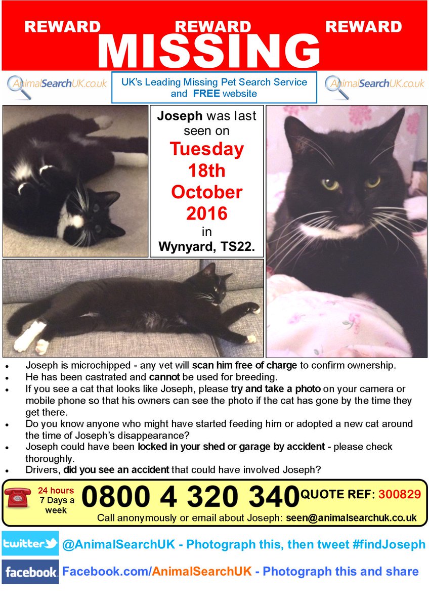 AnimalSearchUK's tweet photo. PLZ RT @RSPCA_official @VetPractitioner #missingcat #wynyard #billingham #ts22 #findjoseph
https://t.co/c9BojRynkL https://t.co/Og0MOkzQRN
