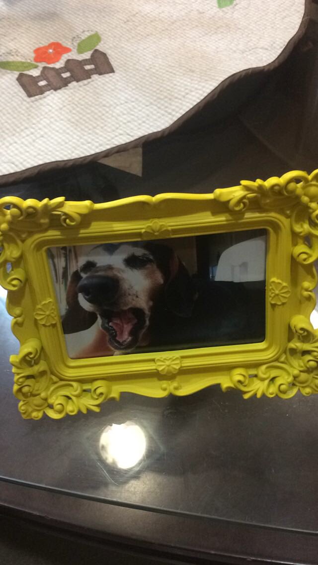 Kevin Kouketsu tweet media