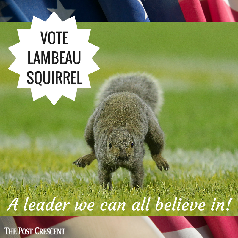 Riley_Sarah's tweet photo. Good luck in the election tomorrow, @LambeauSquirrel. #SquirrelForPresident https://t.co/VjLVl0rqr8