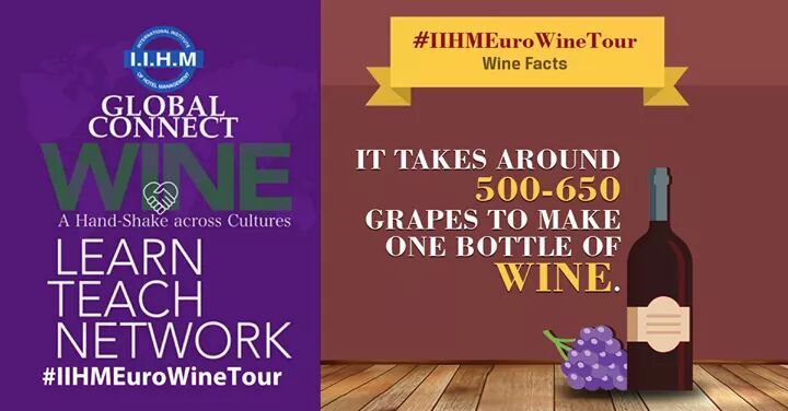soumyabkkiihm's tweet photo. 500-650 Grapes are fermented to make a Bolttle of Wine #LearnTeachNetwork #GlobalConnect @IIHMHOTELSCHOOL #HospitalityRocks https://t.co/P9VlmopNqr