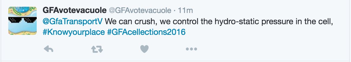 GfaTransportV's tweet photo. @GFAvotevacuole You sure about that https://t.co/gfyUbWFPVI