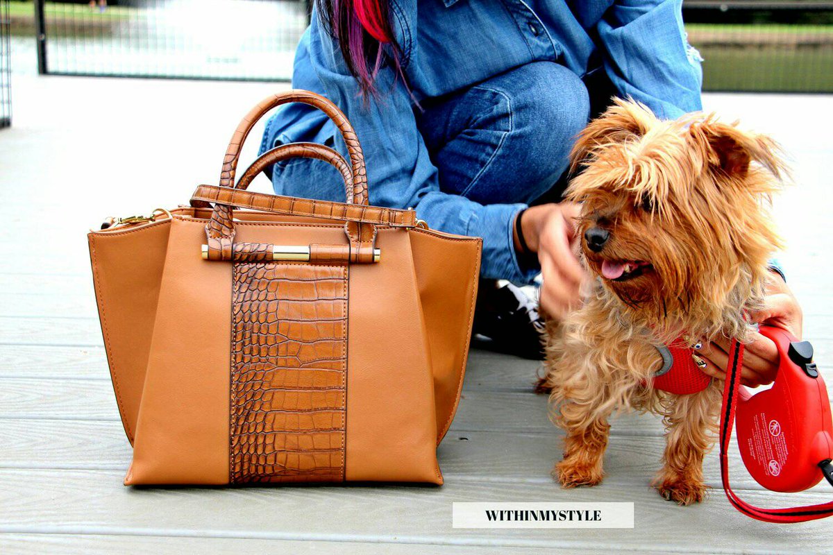 Withinmystyle's tweet photo. Bag swag👉https://t.co/E5iExUPEmn👉 #withinmystyle #ifbootd #ootd #chic #bag #houstonfashion #streetstyle #cutedog #fashionblogger #lookbook https://t.co/p2fz0Hej6O