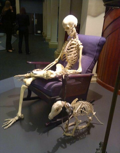 KathyLopez126's tweet photo. @Rubiu5 Yo aquí esperando tu vlog de Las Vegas crack, para cuando? El otro año? xD https://t.co/kutDF3tfVL