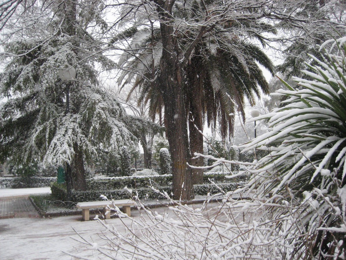 CondondeJaen's tweet photo. Aprovechando el frío, y las primeras nevadas en la Provincia de Jaén, os dejo unas fotos de la última gran nevada en la Capital, en 2010: https://t.co/DUxMrG8Wj3