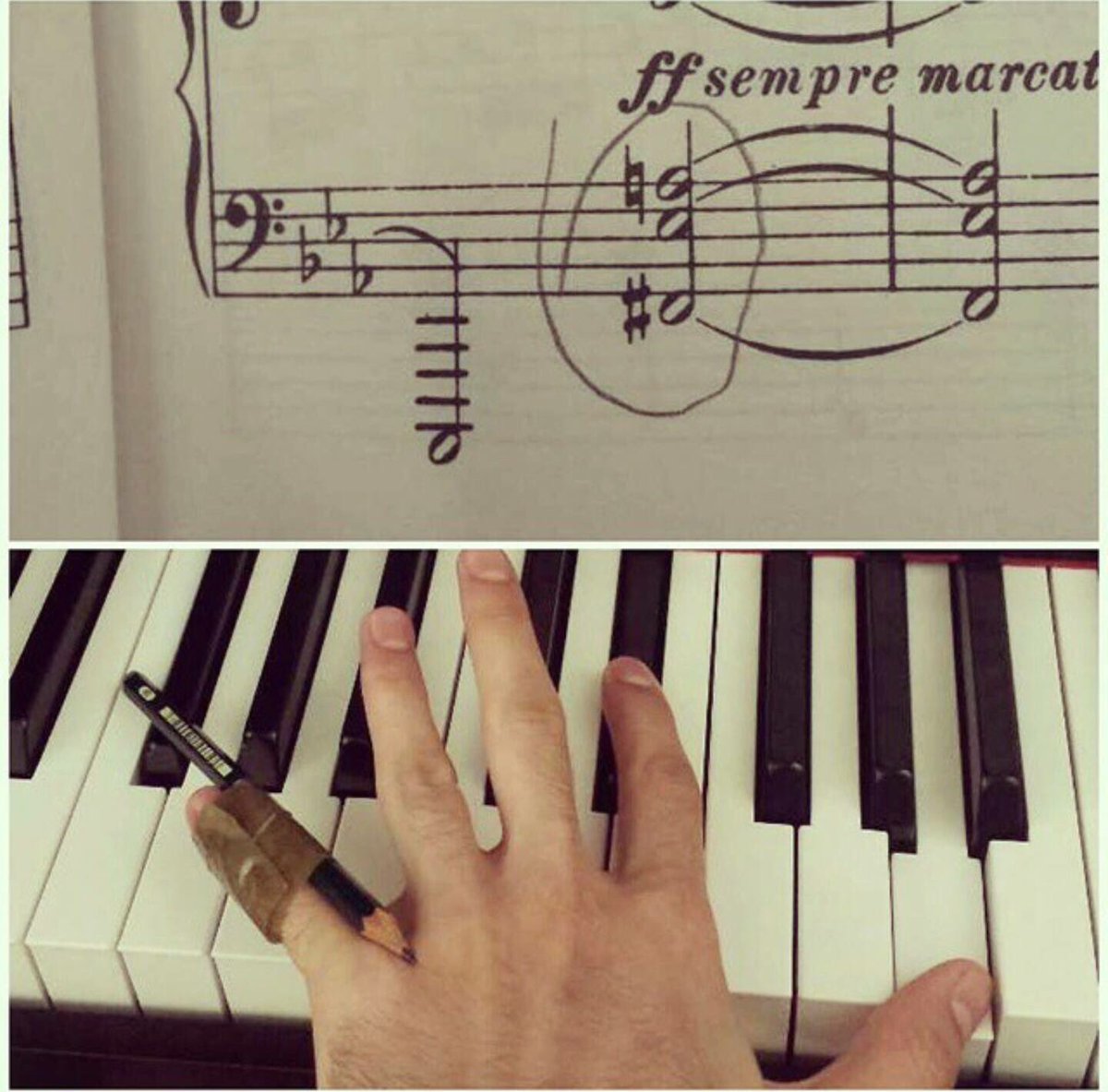 Vicky_Volz's tweet photo. I'm ready for #rachmaninov now. π #tinyhands #smallhandsproblems π https://t.co/fMX8tcP0zk