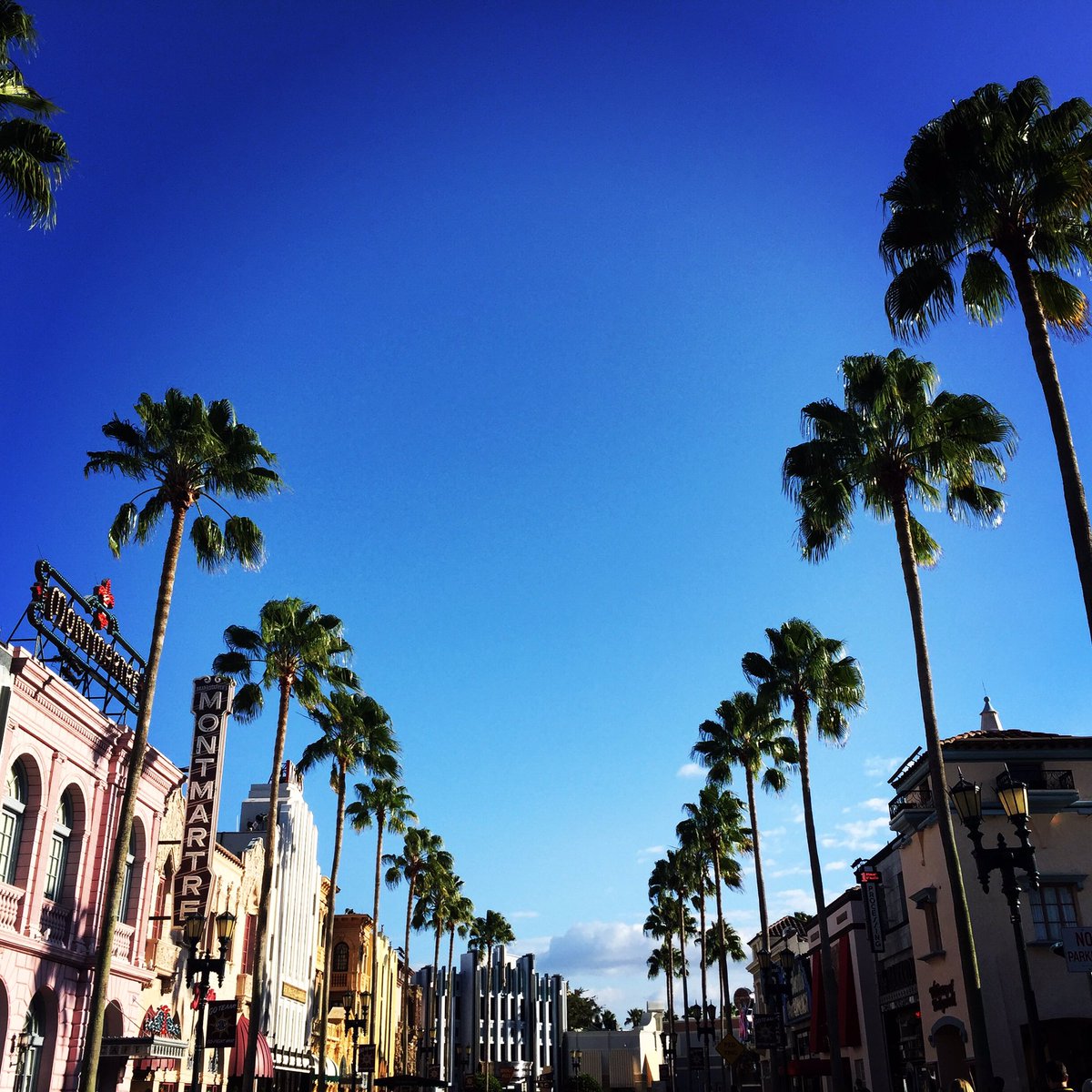 dylcasanova's tweet photo. Cali vibes in Florida. I ❤️ this place @universalorlando #HappyMonday #CaliVibes #UniversalStudios #UniversalOrlando https://t.co/jl0phUXOm3