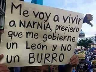 Nesyaleja's tweet photo. #YODECIDO #SalAVotar #Decision2016 #EleccionPR #DespiertaBoricua #NiRojosniAzules https://t.co/BQevW3KyH0