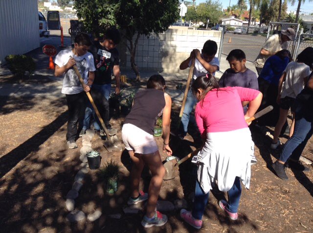 #eusdlearns Working with the San Elijo Lagoon Conservancy Mrs. I's 5th graders plant 50 native plants in the Central Garden. #LoveYourLagoon