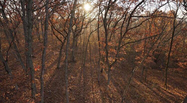 MossyOak's tweet photo. RT if this is your November view. #itsanobsession https://t.co/UUc4jjOxo3