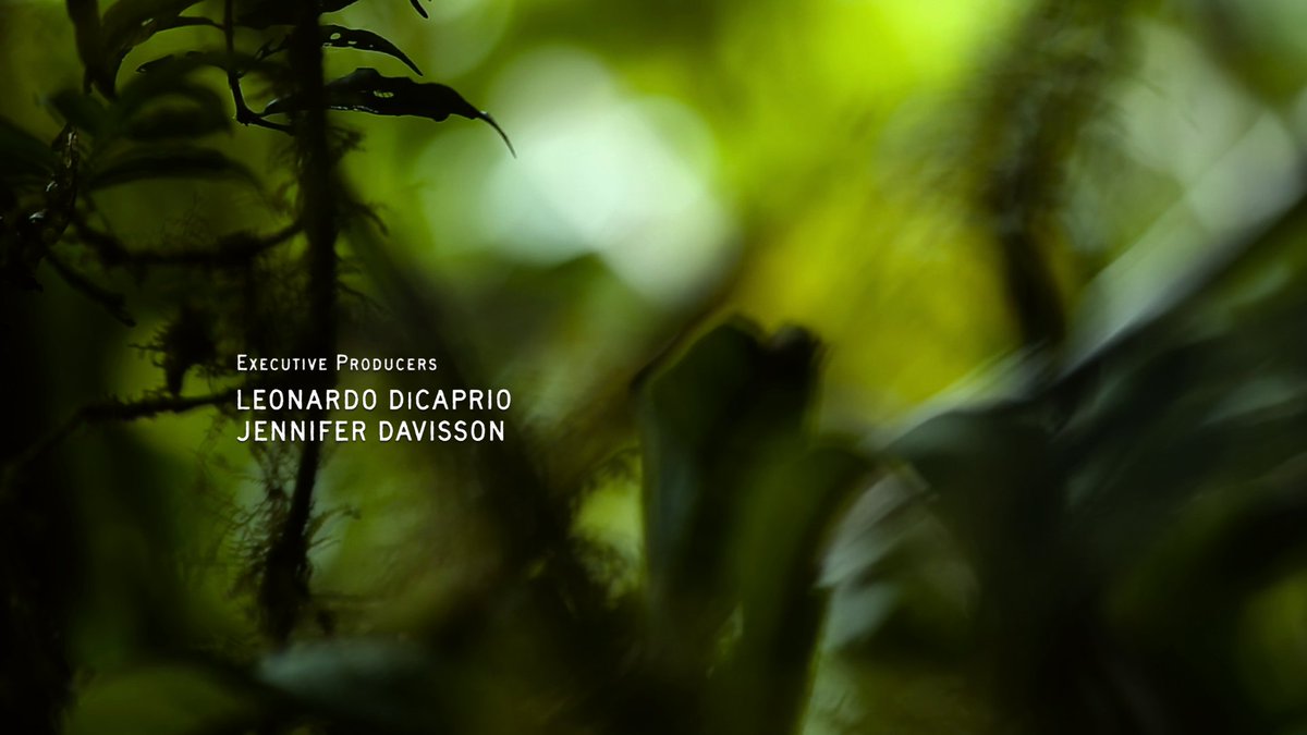 WTWCmovie's tweet photo. @WTWCmovie has its #NetFlix release with Executive Producers @LeoDiCaprio and #JenniferDavisson!!! #AppianWayProductions https://t.co/a0wTgsOq3i