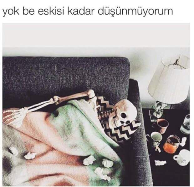 #HangimizSevmedik