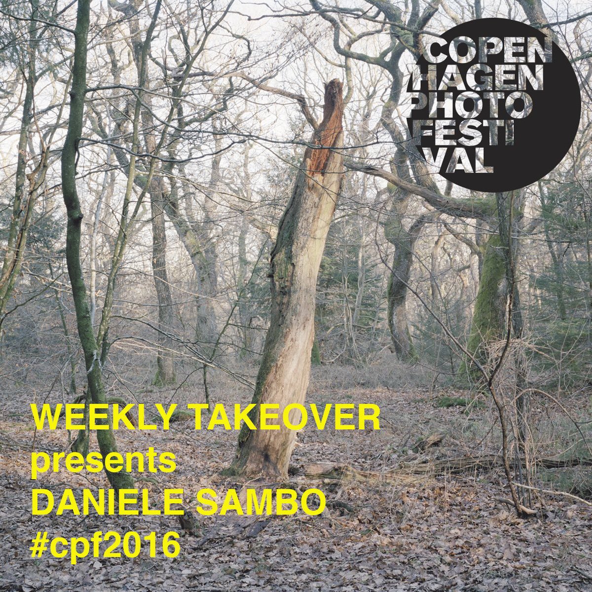 danielesambo's tweet photo. Copenhagen Photography Festival instagram takeover Started. #photography
#cpf2016 #cpfweeklytakeover https://t.co/lmdaKbqShE