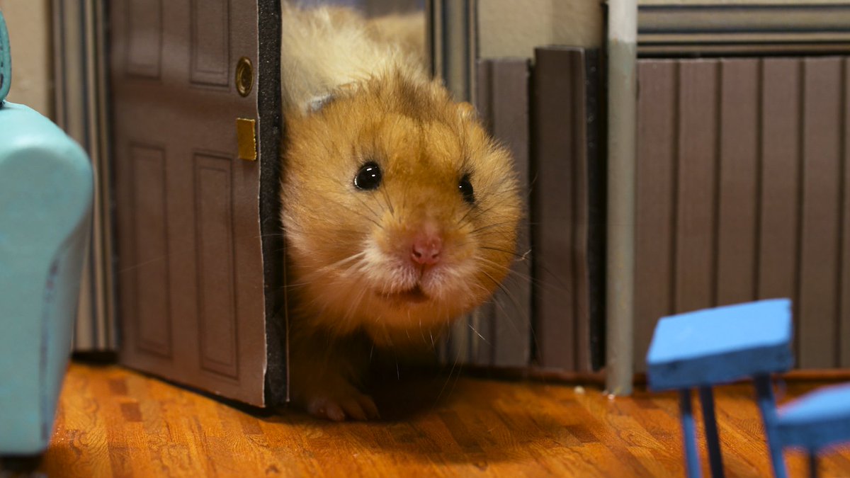 seinfeld with hamster